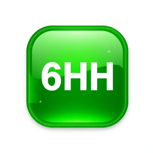 6HH.com Logo